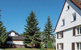Apartment In The Black Forest With Terrace